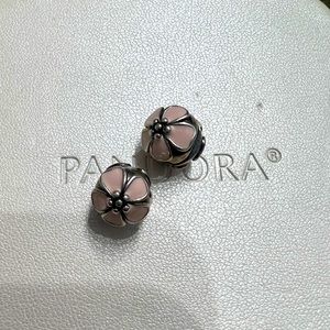 Pandora Clips